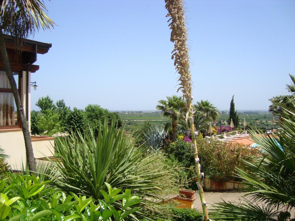 Tenuta Colle Degli Ulivi Sibari Quarto foto